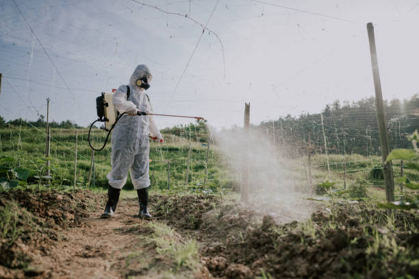 Pest Control Cost in Helena Valley Southeast, MT
