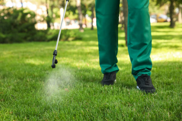 Best Flea Control Services  in Helena Valley Southeast, MT