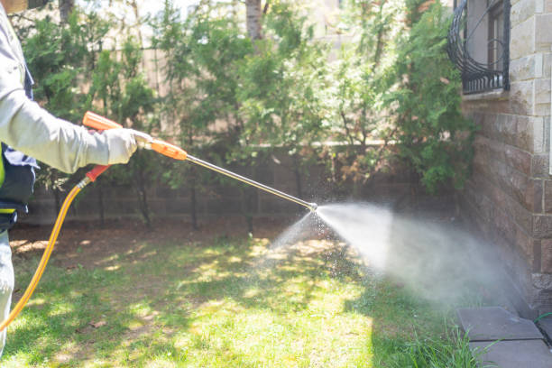 Best Affordable Pest Control Services  in Helena Valley Southeast, MT