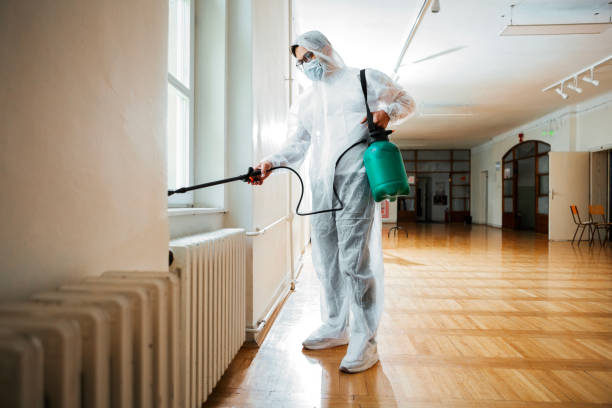Best Affordable Pest Control Services  in Helena Valley Southeast, MT